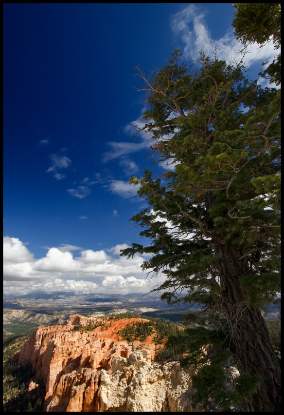 Bryce Canyon NP